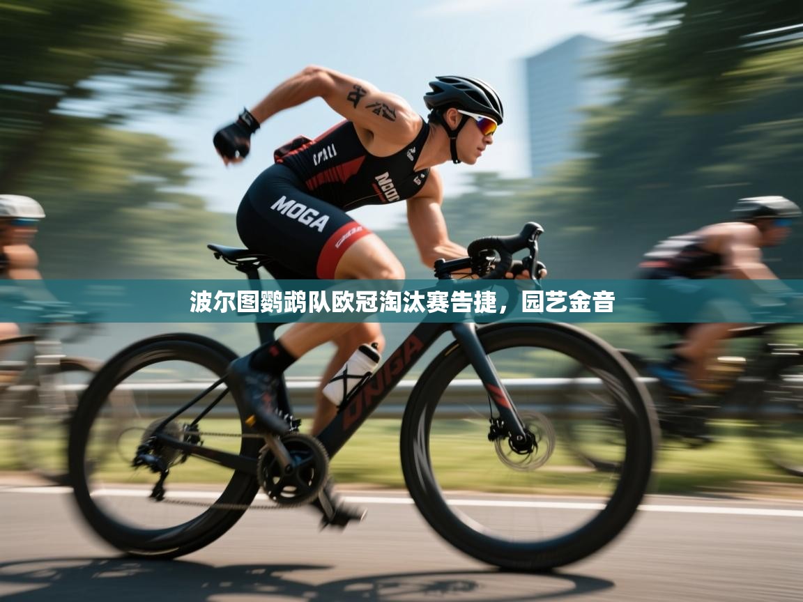 波尔图鹦鹉队欧冠淘汰赛告捷，园艺金音